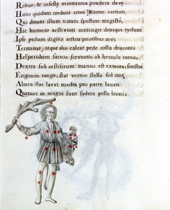 Den representerade stjärnbilden är Bouvier (eller Boots), som stödjer Berenices hår med vänster hand. Sida av ett 1700-talsmanuskript baserat på originalmanuskriptet "Astronomica" av Biasino da Parma (Blaise of Parma) (1425-1457) daterar av Unknown artist