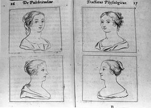 De olika kvinnliga profilerna Page hämtade från "Tractatus physiologicus de beautye" handlar om Ernesto Venio (Ernestus Vaenius) som försvarar skapelsens skönhet mot en anonym motståndare. 1612 av Unknown artist