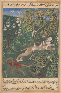 Lejonet, som misstänker förräderi från apans sida, dödar honom och flyr, från en Tuti-nama (Berättelser om en papegoja): Twenty-ninth Night av Unknown artist