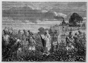 Vinrankorna rycktes upp i gallerna, på order av kejsar Domitianus - i "" Industrins underverk"" av Louis Figuier, Paris av Unknown artist