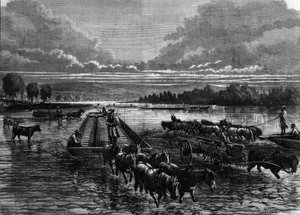 Transport av oljefat till Oil Creek, Pennsylvania, USA av Unknown artist