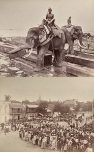 Utan titel: (elefanter som flyttar träblock, recto); (procession eller folkmassa, verso) av Unknown artist