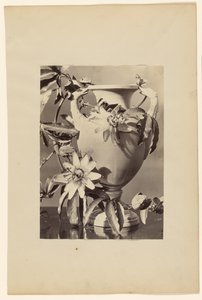 [Vas med passionsblommor] av Unknown artist