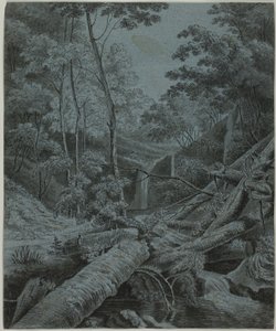 Vattenfall och nedfallna stockar i skog av Unknown artist