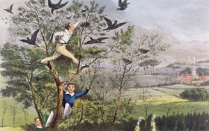 Who-Whoop! Jag har gjort det - Raiding the Rookery från Nimrods "The Life of a Sportsman av Unknown artist