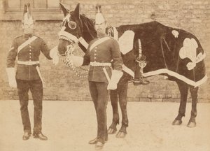 En häst av 3:an av Unknown