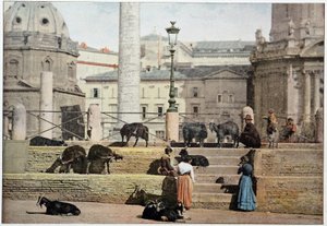 Antikens Rom: utsikt över Rom Forum. Italien, sent 1800-tal. av Unknown photographer