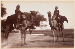Camel Sowars på Delhi Camp of Exercise av Unknown photographer