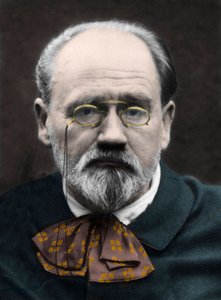 Porträtt av Emile Zola 1890-talet. av Unknown photographer