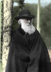 Fotografiskt porträtt av Charles Darwin (1809 - 1882), engelsk naturforskare 1881. av Unknown photographer
