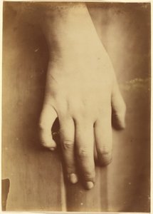 Studie av en hand,1865 (foto) av Unknown photographer