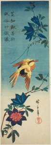 (Faksimil?) Svartnackad oriole och klematis av Utagawa Hiroshige