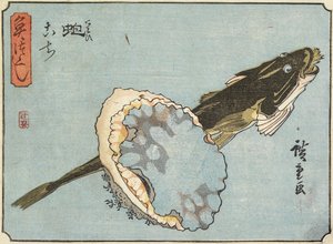 Abalone och Flathead, 1830-1844