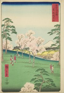 Asuka Hill i den östra huvudstaden (Toto Asukayama), från serien "Trettiosex utsikter över berget Fuji (Fuji sanjurokkei)" av Utagawa Hiroshige