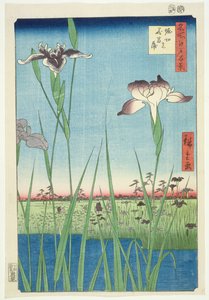 BM.Cat.440 Irises at Horikin, nr 56 i serien "100 Views of Edo", ("Meisho Edo hyakkei"), pub. 1857, (träsnitt i färg)