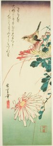 Fågel och krysantemum av Utagawa Hiroshige