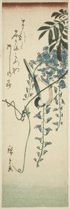 Fågel och blåregn av Utagawa Hiroshige