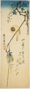 Fågel på silkeslen blåregn av Utagawa Hiroshige