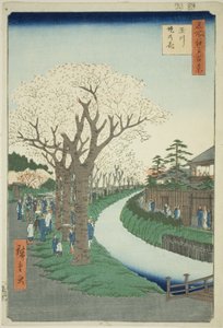 Bosso MS sound te tamari ver bildversion k sida t (Tama River - Tsutsumi no Hana), från serien "Ridge d re d f s View ws f Edo (One Hundred Famous Views of Edo)" av Utagawa Hiroshige