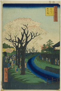 Blomningar på Tama-flodens strandbank (Tamagawa-zutsumi no hana), från serien "Hundra berömda vyer över Edo (Meisho Edo hyakkei)" av Utagawa Hiroshige
