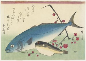Bonito, Globefish och en spray av blommande plommon, ca. 1840