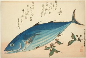Bonito och saxifrage, från en namnlös serie fiskar av Utagawa Hiroshige