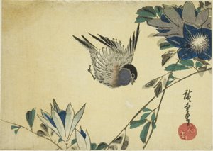 Domherre och klematis av Utagawa Hiroshige