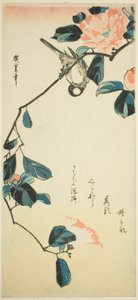 Domherre på kameliagren av Utagawa Hiroshige