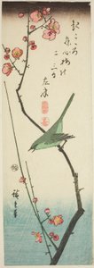 Busksångare på plommongren av Utagawa Hiroshige
