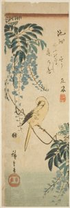 Kanarie och blåregn av Utagawa Hiroshige