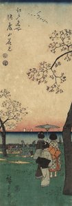 Körsbärsblomning i Gotenyama, mars 1852