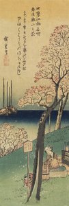 Körsbärsblommor på Gotenyama, våren 1833-1834