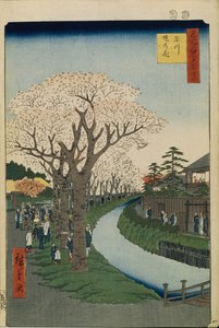 Körsbärsblommor på stranden av Tamafloden Hundra berömda vyer av Edo, 1856-1858 av Utagawa Hiroshige