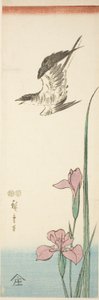 Gök och iris av Utagawa Hiroshige