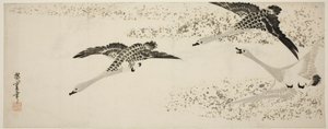 Nedstigande gäss av Utagawa Hiroshige