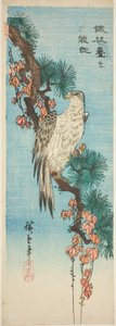 Falk på murgrönaklädd tallgren av Utagawa Hiroshige
