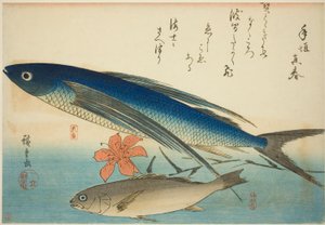 Flygfisk och Ichimochi, från en namnlös serie fiskar av Utagawa Hiroshige