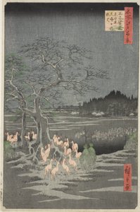 Räveldar på nyårsafton vid det skiftande trädet i Oji (Oji shozoku enoki omisoka no kitsunebi), från serien "Hundra berömda vyer av Edo (Meisho Edo hyakkei)" av Utagawa Hiroshige