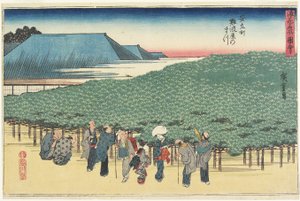 Gian t Pine från f Naniwayain Anryu_-Machi, ca. 1834
