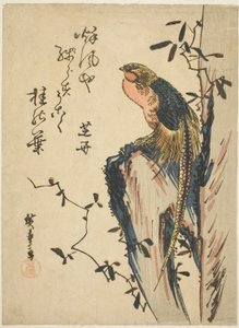Guldfasan av Utagawa Hiroshige