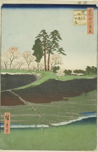 Fick hej på Shinagawa (Shinagawa Gotenyama), från serien av Utagawa Hiroshige
