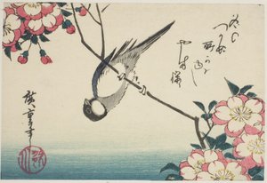 Talgoxe på körsbärsblomgren av Utagawa Hiroshige