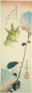 Gröna fåglar och hortensior av Utagawa Hiroshige