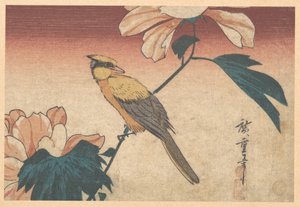 Hibiscus mutabilis och nötskrika av Utagawa Hiroshige