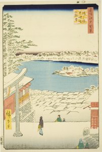 Dra l och p vy från Yushima Tenjin Shline (Yushima Tenjin Sakaue Tembo), från serien ``Ridge dred fa net s view ws of Edo (One hundred views of Edo)