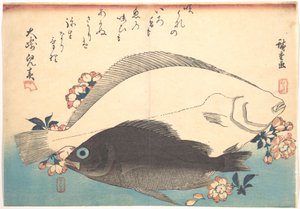 Hirame- och mebaru-fiskar med körsbärsblommor, ur serien Uozukushi - Alla sorters fisk av Utagawa Hiroshige