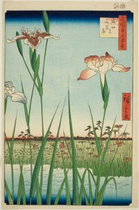 Irase s at Horikiri (Horikiri no Hanadokorobe), från serien "Ridge dre d fa net s views of Edo (One Hundred Famous Views of Edo)" av Utagawa Hiroshige