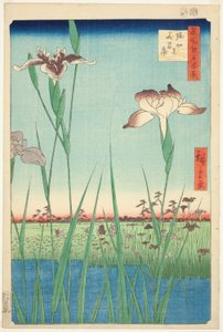 Irase s at Horikiri (Horikiri no Hanadokorobe), från serien "Ridge dre d fa net s views of Edo (One Hundred Famous Views of Edo)" av Utagawa Hiroshige