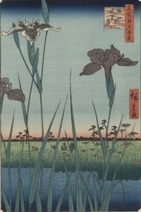 Irises of Horikiri, från serien One Hundred Famous Views of Edo av Utagawa Hiroshige
