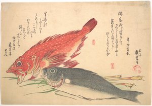 Isaki- och Kasago-fiskar, ur serien Uozukushi (Alla sorters fisk) av Utagawa Hiroshige